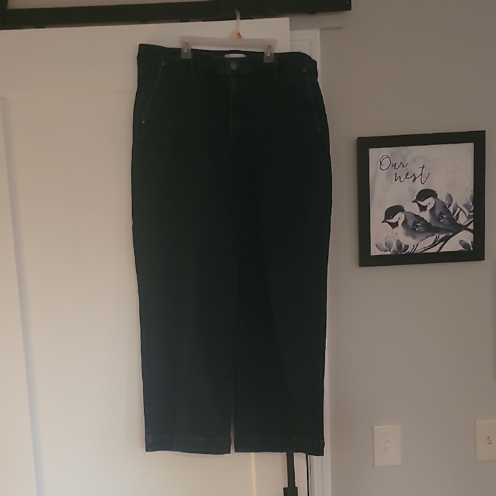 Lane Bryant Blue Jeans Trouser Wide Leg